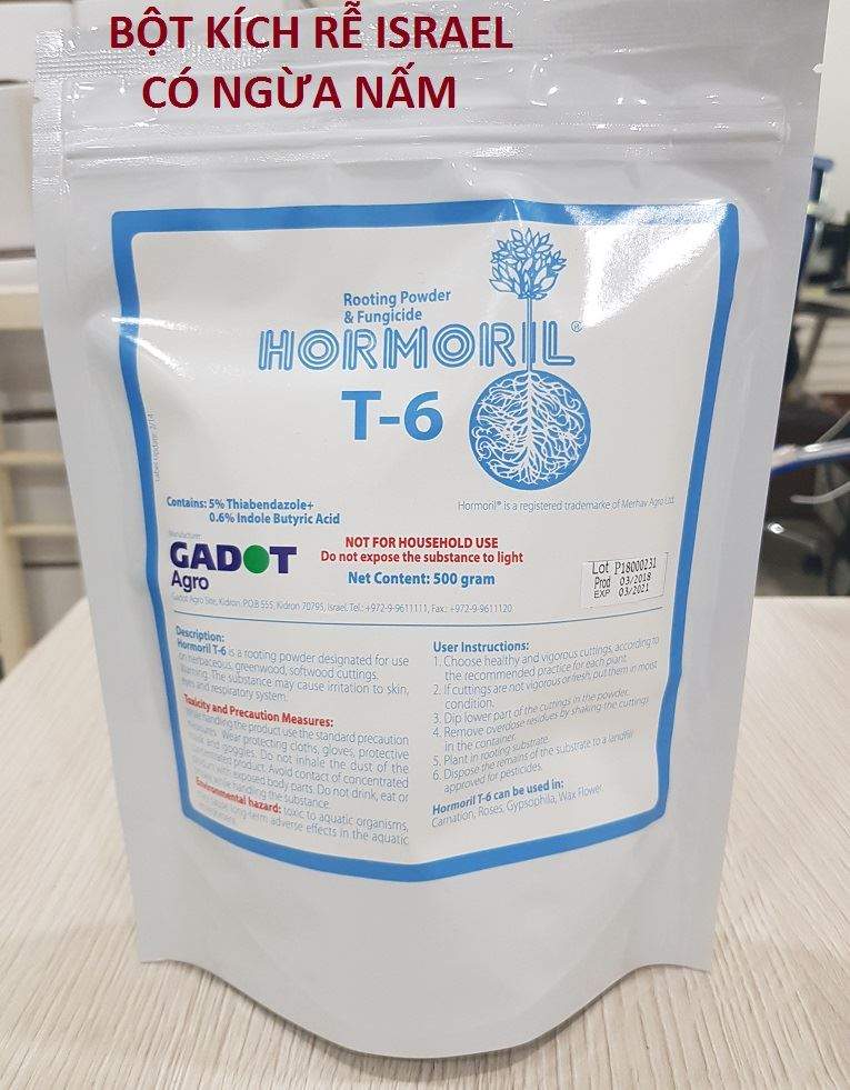 bot-tao-re-hormoril T6-ngua nam benh 1