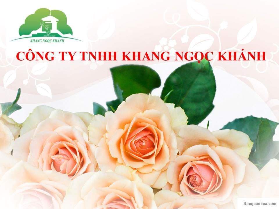 khang-ngoc-khanh 0