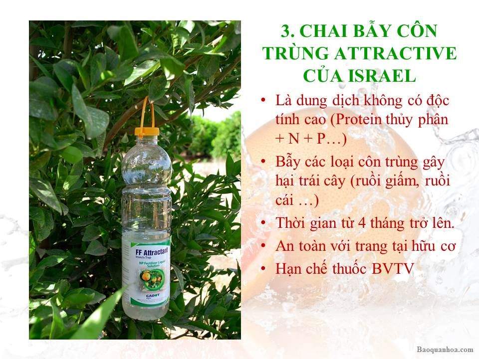 khang-ngoc-khanh-bay-con-trung-chai