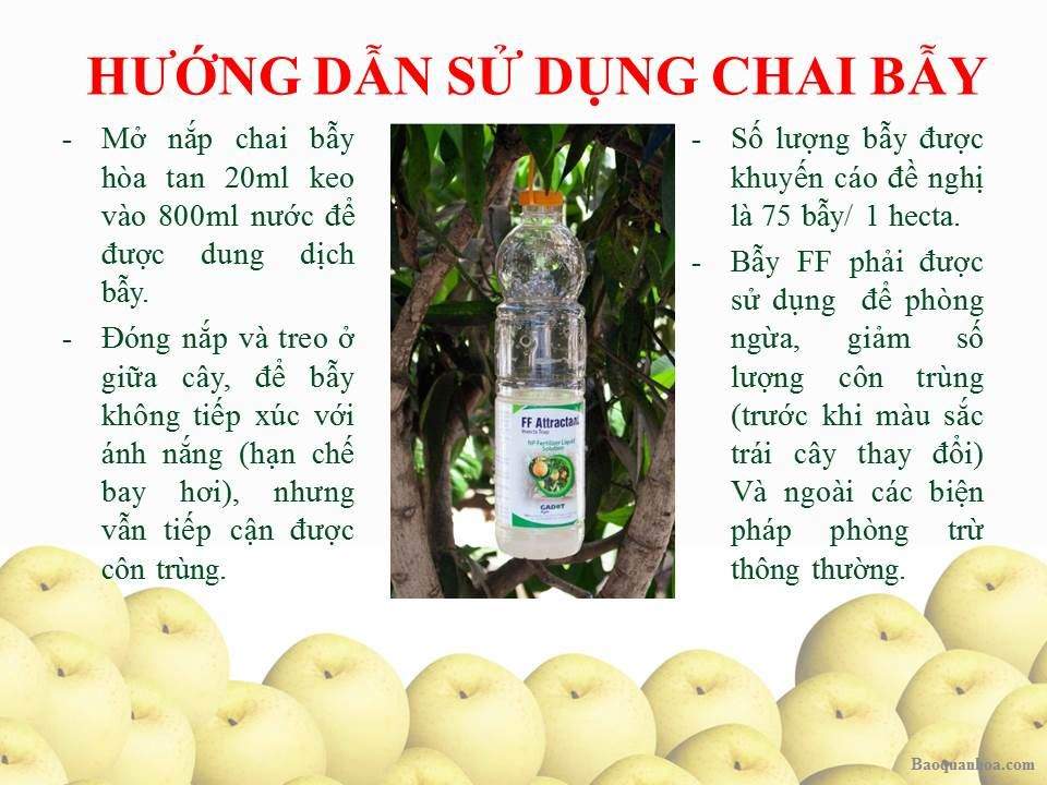khang-ngoc-khanh-bay-con-trung-chai 2