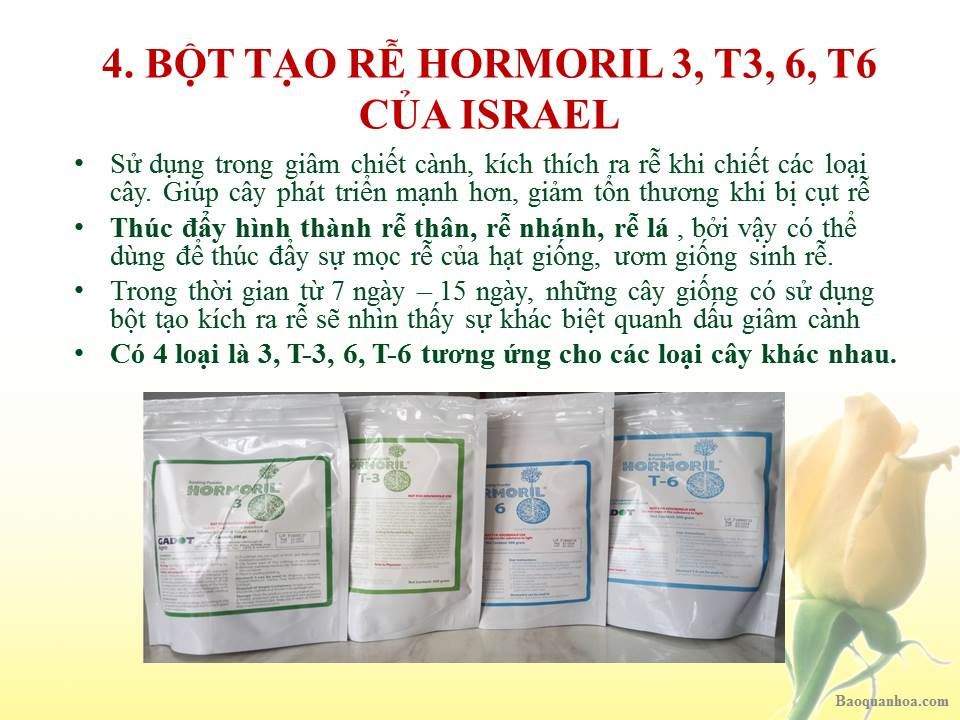 khang-ngoc-khanh-bot-tao-re