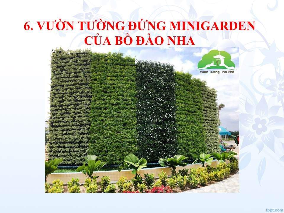 vuon-tuong-dung-minigarden-vn