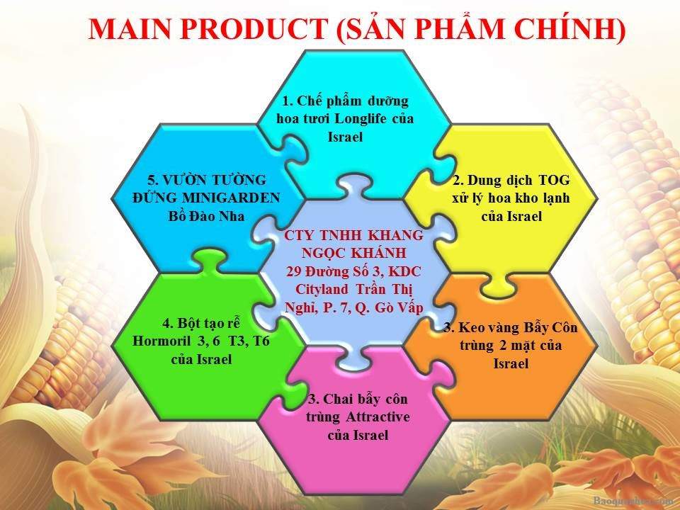 khang-ngoc-khanh 1
