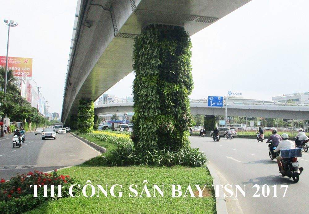 Thi-cong-tuong-xanh-dung-san-bay-tan-son-nhat