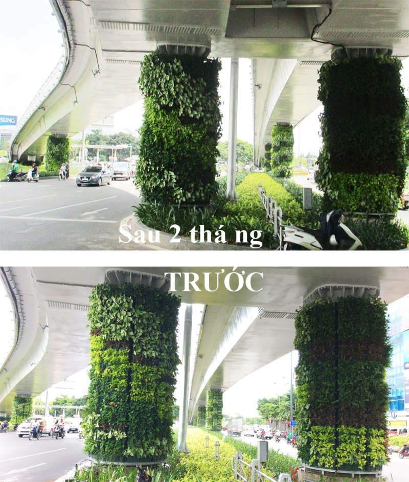 tuong-xanh-dung-san-bay-TSN-so sanh