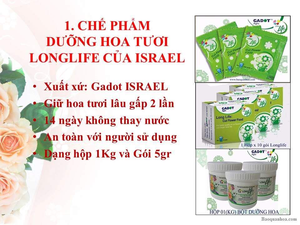 khang-ngoc-khanh-goi-duong-hoa-longlife
