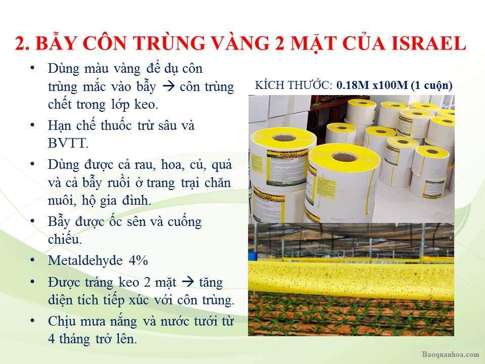 khang-ngoc-khanh-bay-con-trung-vang