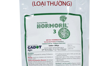 Bột kích rễ thân mềm nhập khẩu Israel túi 500gr loại thường