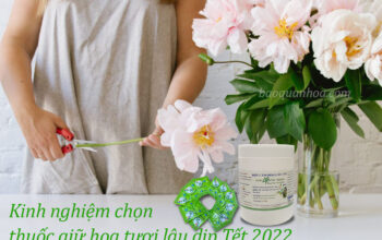 Kinh nghiệm chọn thuốc giữ hoa tươi lâu Tết 2022