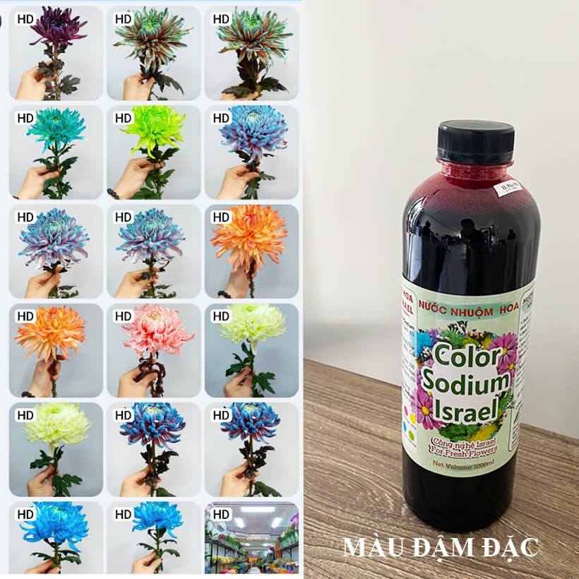 thuoc-nhuom-hoa-tuoi-chai-nuoc-dam-dac 23